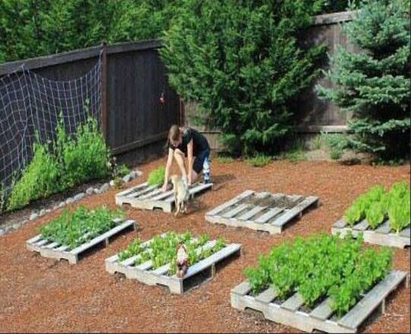 Pallet garden ideas