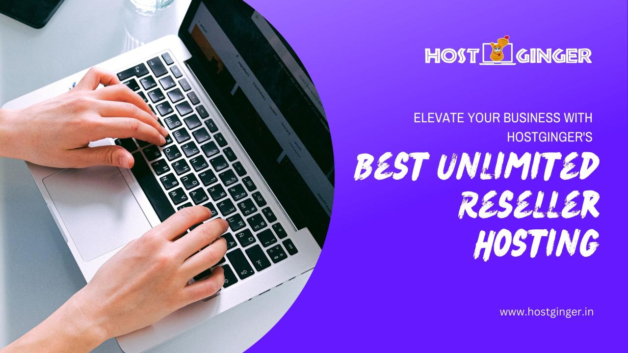 Unlimited reseller hosting